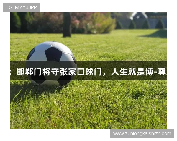 尊龙凯时人生就是搏ag:分析游戏中的风险管理与人生决策的关系